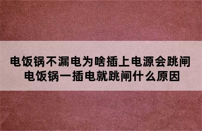 电饭锅不漏电为啥插上电源会跳闸 电饭锅一插电就跳闸什么原因